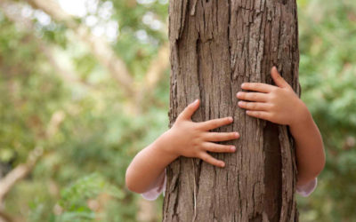 BENEFICIOS FÍSICOS Y PSICOLÓGICOS DE LA NATURALEZA