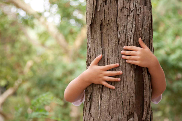 BENEFICIOS FÍSICOS Y PSICOLÓGICOS DE LA NATURALEZA