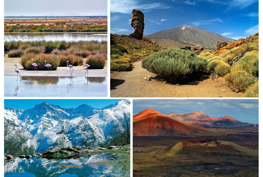 Descubre 5 Parques Nacionales accesibles para PMR
